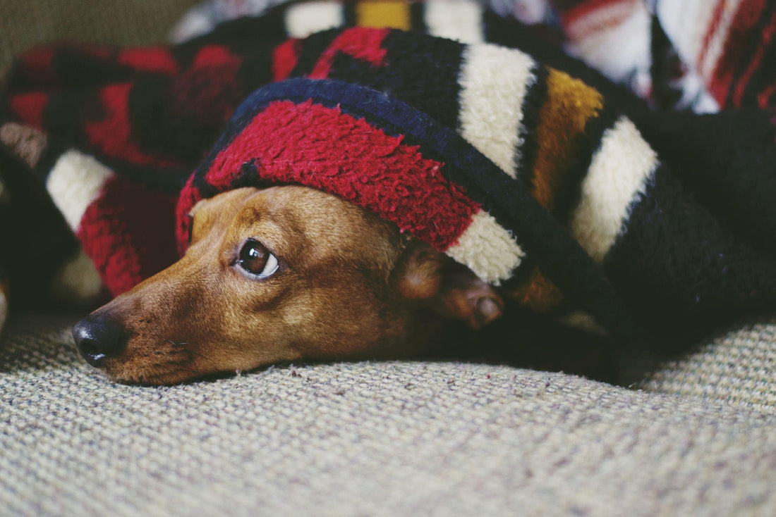 Tu bolsa de karma