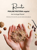 Portada de la receta digital de Praliné de proteína vegetal: manos sosteniendo nueces, semillas y granos